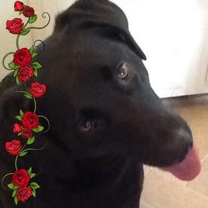 Meet your Posher, Maryann